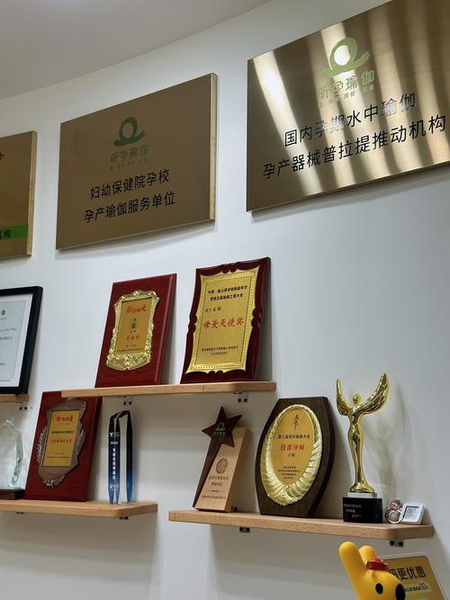 揭秘试管助孕机构荣誉奖项背后的硬核实力与选择逻辑
