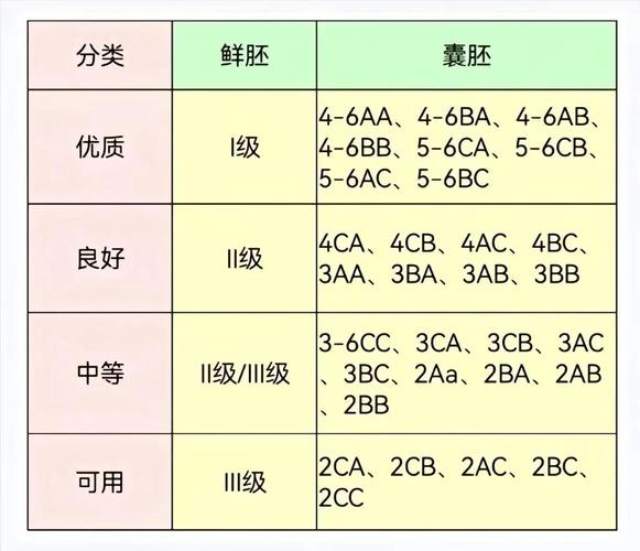 试管助孕可以多次移植吗？资深从业者揭秘胚胎移植次数与成功率的真实关联